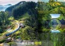 摆件大象串珠视频-摆件大象，串珠艺术的灵动演绎