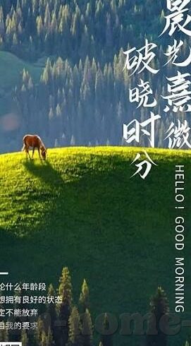 国产麻豆精品久久久久av-文章，国产麻豆精品——探索细腻制作与文化情怀