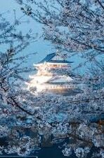 国产麻豆精选av-国产麻豆，探索网络文化中的本土魅力