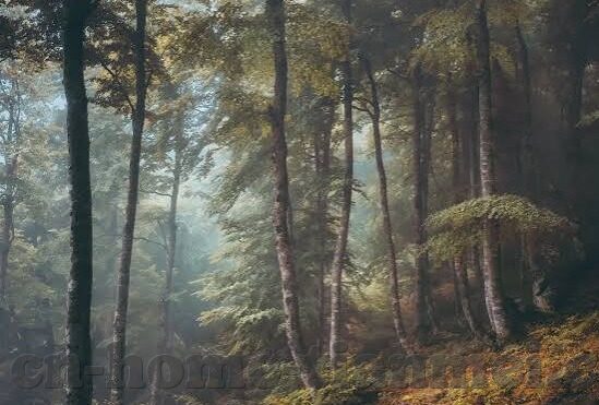 麻豆91下载-关于网络下载现象与数字化时代的挑战的深度剖析