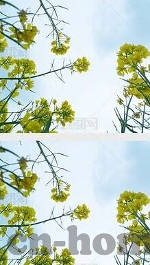 麻豆app电脑版-麻豆app电脑版，解锁数字娱乐新视角