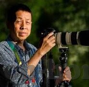 麻豆tv传媒-网络内容生态的反思，麻豆TV传媒现象探析