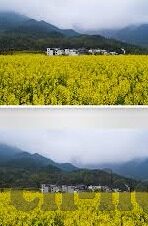 m麻豆传媒-麻豆传媒，霓虹下的一束微光，还是迷雾中的虚幻？