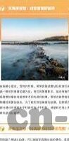 天天日麻豆av-日麻文化实践，一窥天天、日麻与豆的交融之旅