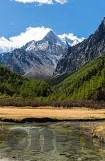 小蝌蚪麻豆91-小蝌蚪的奇妙之旅——一次关于成长与探索的童趣幻想